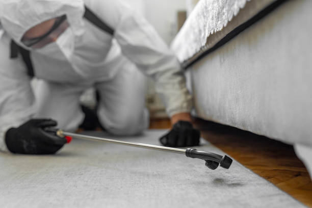 Professional Bed Bug Control technician working in Wood-Ridge, NJ