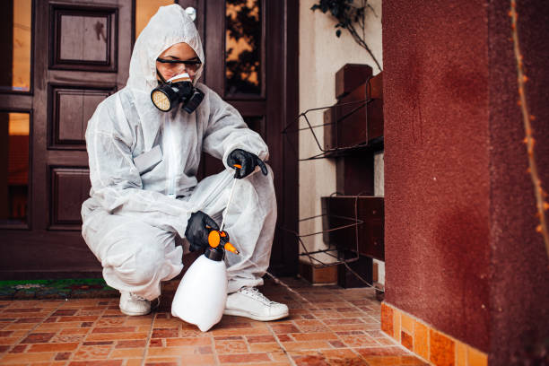 Reliable Bed Bug Control contractor in Wood-Ridge, NJ by Nex Pest Control