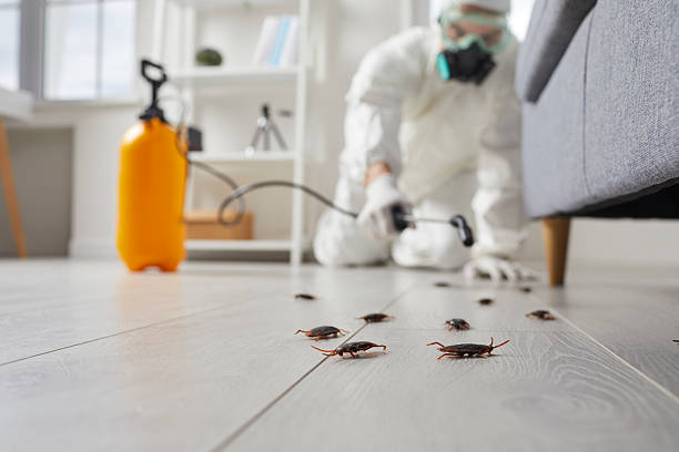 Trusted Mosquito Control service in Wood-Ridge, NJ - Nex Pest Control